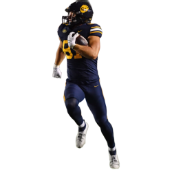 player render