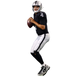 player render