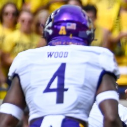 Julius Wood