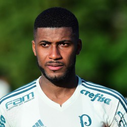 Emerson Santos profile image
