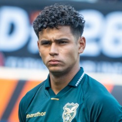 Yomar Rocha profile image