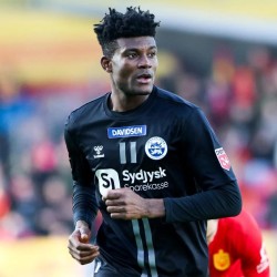 Ivan Djantou profile image