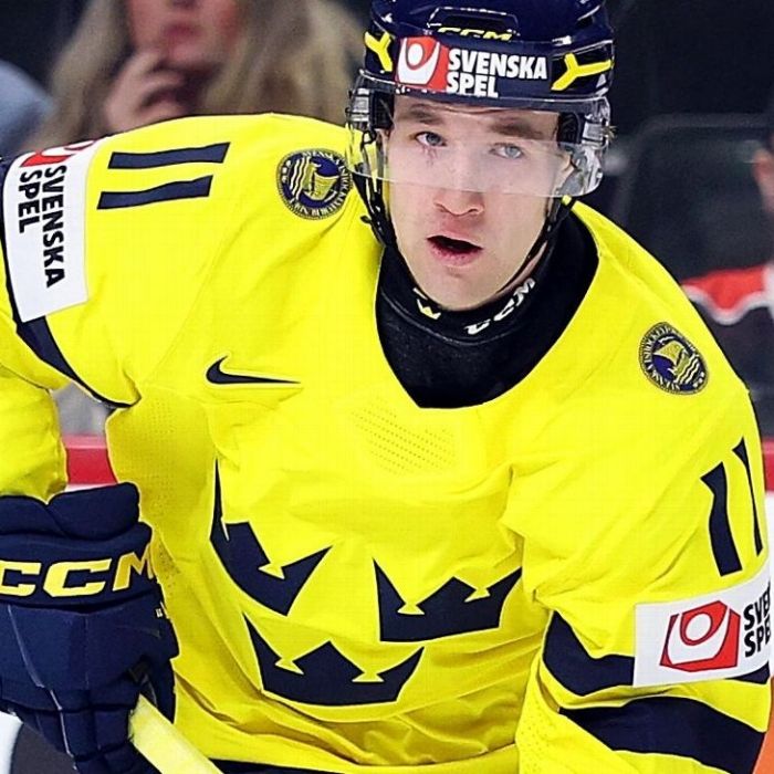 Lucas Pettersson