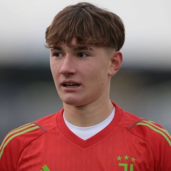 Riccardo Radu profile image