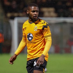 Brandon Njoku profile image