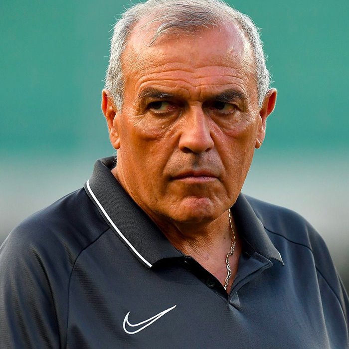 Fabrizio Castori