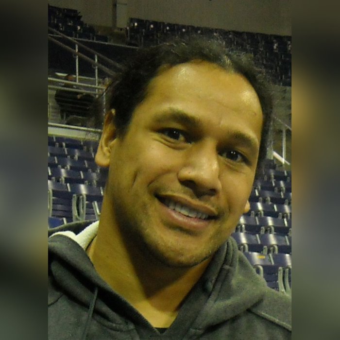 Troy Polamalu