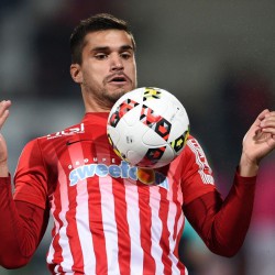 Loïc Puyo profile image