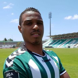 Vasco Fernandes profile image