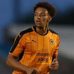 Donovan Wilson profile image