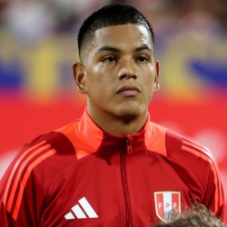 Joao Grimaldo profile image