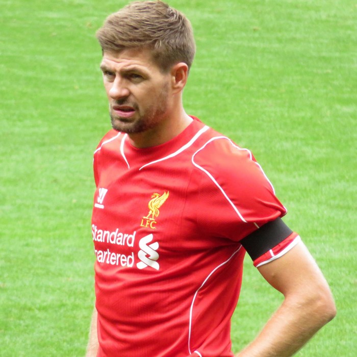 Steven Gerrard - TheSportsDB.com