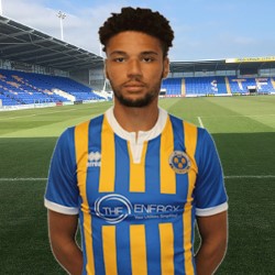 Lee Angol profile image