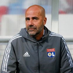Peter Bosz portrait