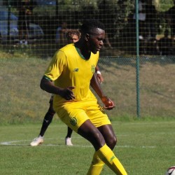 Anthony Walongwa profile image