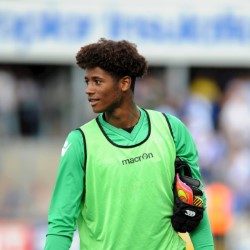 Alexis Andre profile image