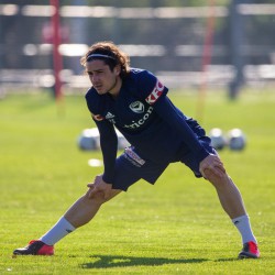 Luis Lawrie-Lattanzio profile image