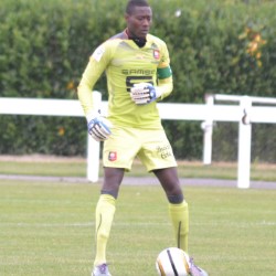 Cheikh N'Diaye profile image