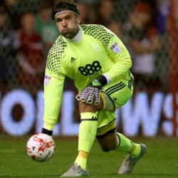 Vladimir Stojkovic profile image