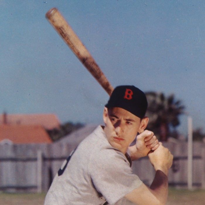 Ted Williams