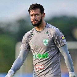 Matheus Cavichioli profile image