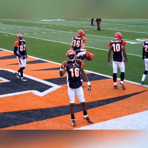 Player Thumbnail