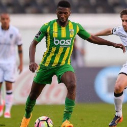 Hélder Tavares profile image