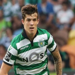 Bruno Paulista profile image