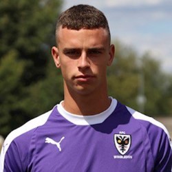 Nikola Tzanev profile image