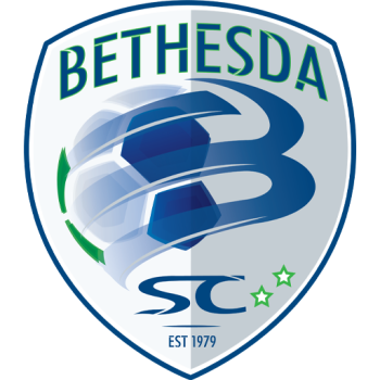 Team Badge