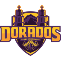 Former team badge icon