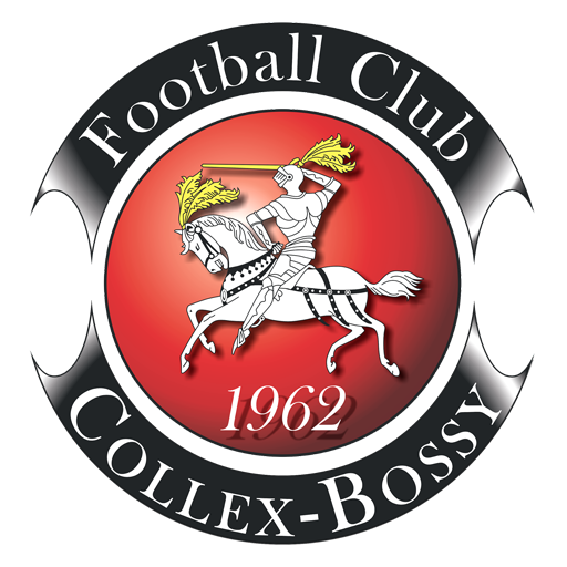 Team Badge icon
