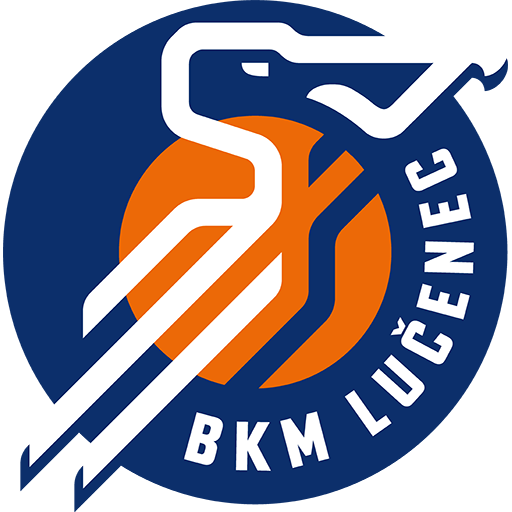 Team Badge icon