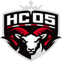 Former team badge icon