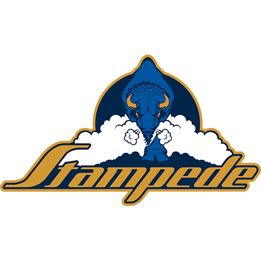 Team Badge icon