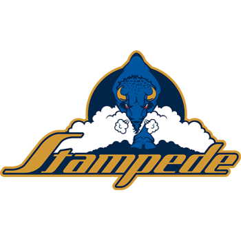 Team Badge