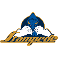 Team Badge