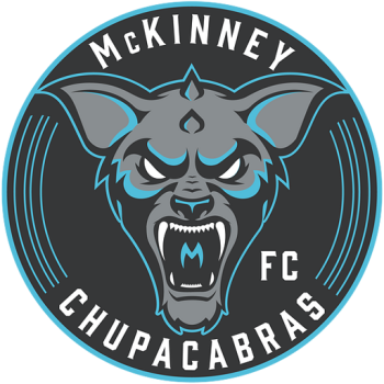 Team Badge
