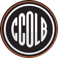 Former team badge icon