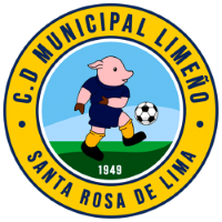 Former team badge icon
