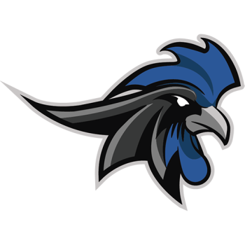 Team Badge