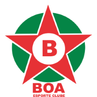 Former team badge icon