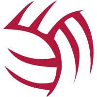 Former team badge icon