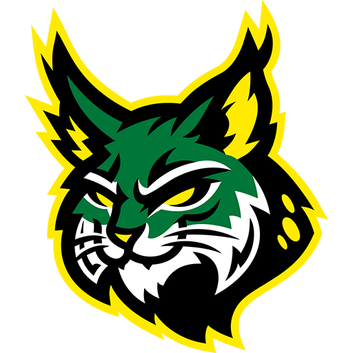 Team Badge icon
