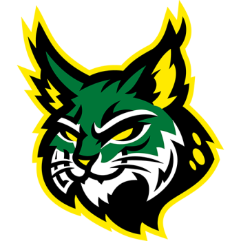 team badge