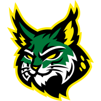 Team Badge