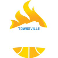 Former team badge icon