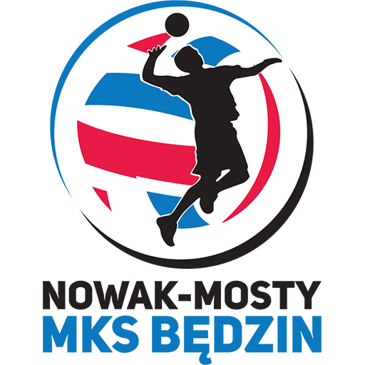 Team Badge icon