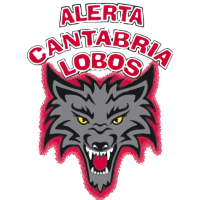 Former team badge icon