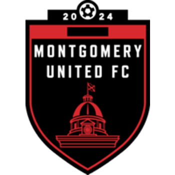 Team Badge